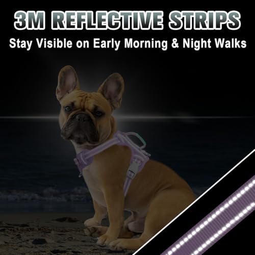Dog Harness for Small Sized Dog No Pull Dog Vest ID Tag Pocket (Violet Purple / X-Small)