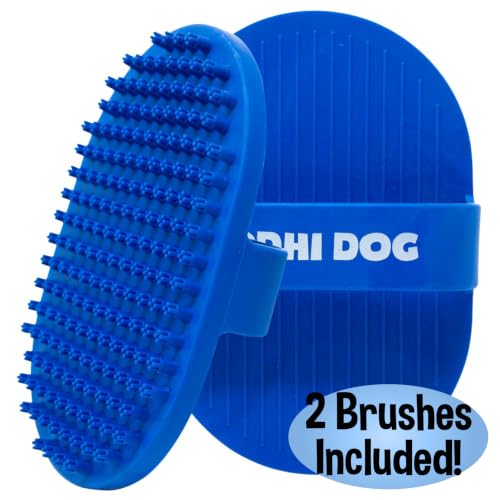Shampoo Brush (2 Pack / Blue)