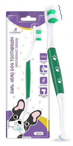 Dog Toothbrush (Green / 1 Count (Pack of 1))