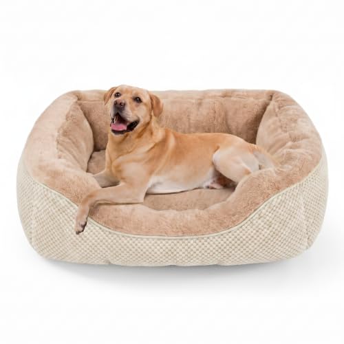 Large Dog Bed (L (35"x25"x9") / Beige)