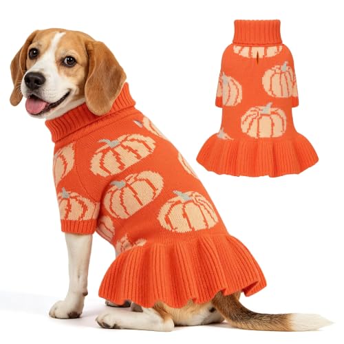 Bowknot Dog Sweater Dress for Small Dogs Girl (X-Large (21-28lbs) / Pumpkin Orange)