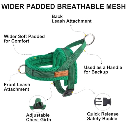 Small Dog Harness and Leash Set (Green / S: Chest 17.5"-22")