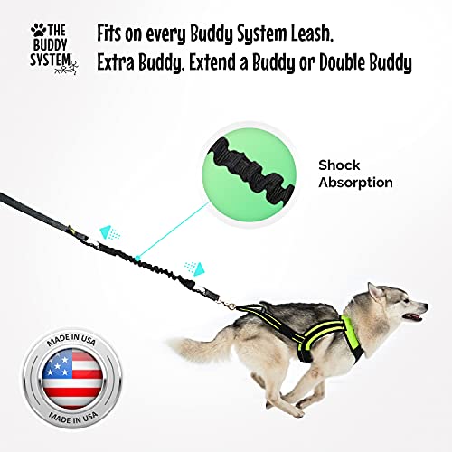 Hands Free Dog Leash & Lunge Set (Regular Dog System (Regular Belt (22"- 40" Waist)) / Bundle Leash + Lunge Buster)
