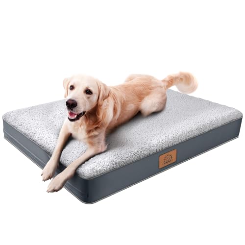 Washable Orthopedic Large Dog Bed (Grey / 36.0"L x 27.0"W x 3.0"Th)