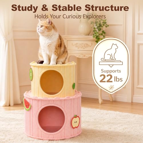 2 Story Cat House for Indoor Cats (B-Double Cat House)