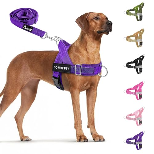 No Pull Dog Harness and Leash Set (Purple / Large)