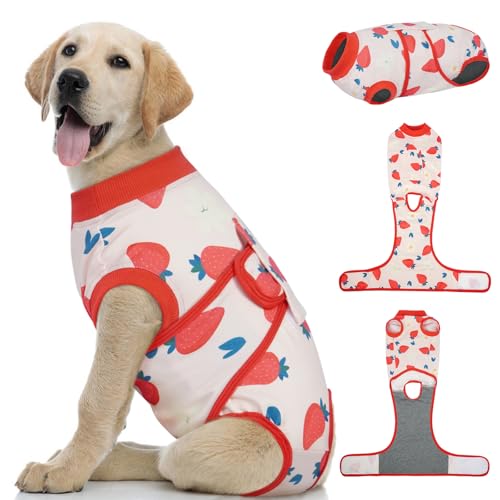 Dog Recovery Suit (Strawberry Red / Large)