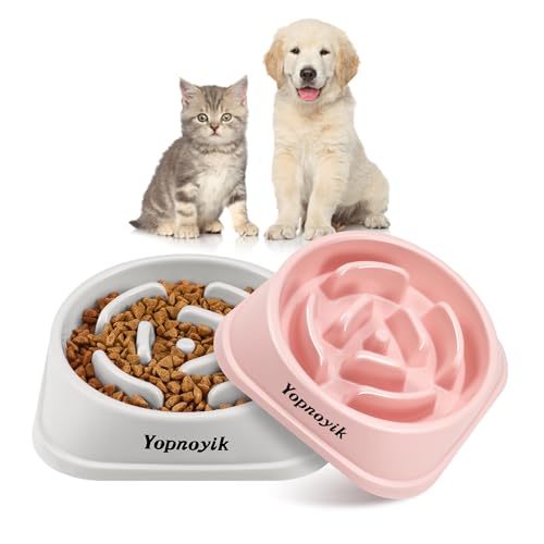 2 Pack Slow Feeder Dog Bowls for Small Dogs (Small / Pink and Grey)