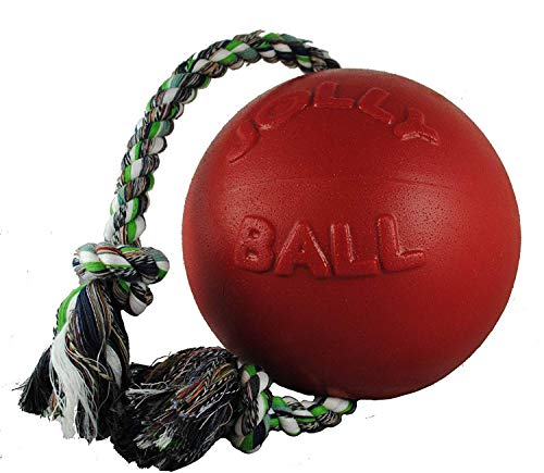 Romp-n-Roll Rope and Ball Dog Toy, 8 Inches/Large, Red (608 RD) (Red / Large (8 in))