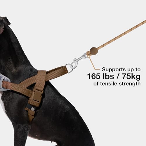 Crossbody Hands Free Dog Leash (Coffee Brown)