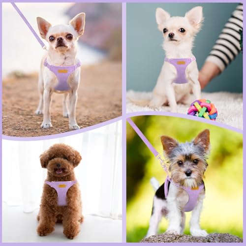 No Pull Dog Harness with Leash for Small Medium Dogs (X-Small(6-11lb) / Solid Purple)