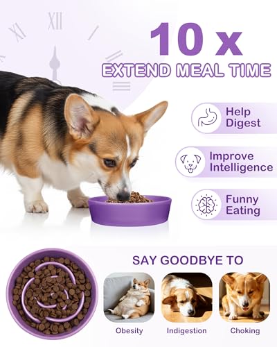 Ceramic Slow Feeder Dog Bowls (M-1.5 Cups / 03-Purple)