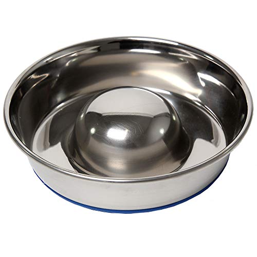 OurPets DuraPet Slow Feed Premium Stainless Steel Dog Bowl (Small (2 Cups))