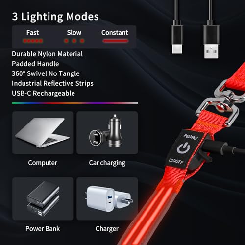 LED Dog Leash (Red / 6 feet)