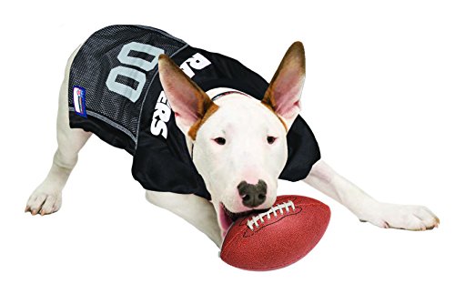 NFL OAKLAND RAIDERS DOG Jersey (X-Large / Las Vegas Raiders)