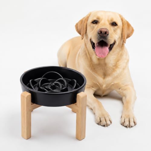 Ceramic Slow FeederDog Bowl for Medium Large Dogs (Black / 8.66in)