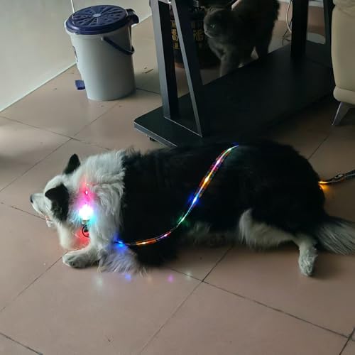 Ight Up LED Dog Leash and LED Dog Collar Set USB Rechargeable Waterproof (Bohemian Orange / 1.5m Leash+10-25in Collar Can be Crop)