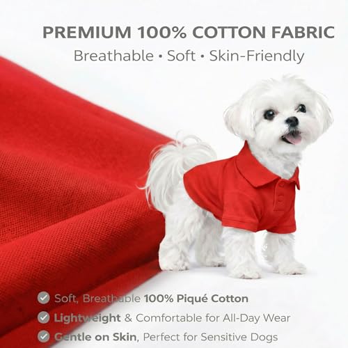 Basic Dog Polo Shirts Premium Cotton (XXL (-55lbs) / Red)