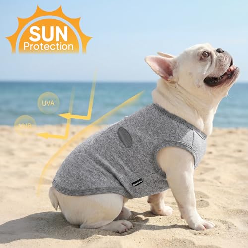 3 Pack Lightweight Sun Protection Dog Shirt Breathable Sleeveless Dog T Shirts Extra Soft Top Tank Dog Clothes for Outdoor Activities (Dark Gray + Light Green + Mint Green / XS (Back: 10.2",Chest: 15.8", Neck 10.6"))