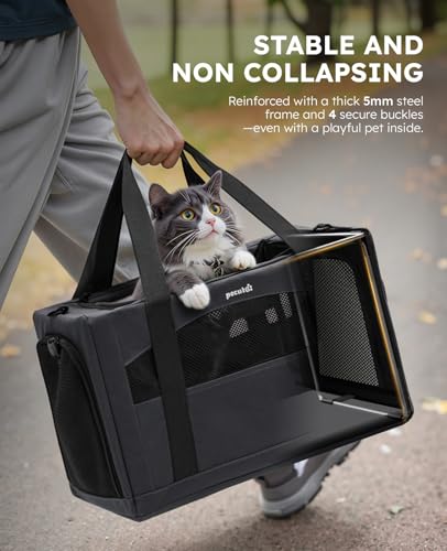 Cat Carrier Stable (Dark Gray Regular / 16.9"L x 11.0"W x 11.0"H)