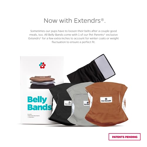 Washable Belly Bands for Male Dogs (Small (13-16") / Natural)