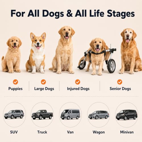 Dog Ramp for Car with Telescoping Design (71" x 20")