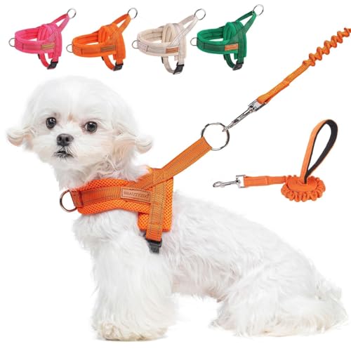 Small Dog Harness and Leash Set (Orange / XS: Chest 15"-18")