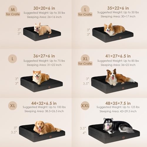 Extra Large Dog Bed Othorpedic (Black / 44.0"L x 32.0"W x 6.5"Th)