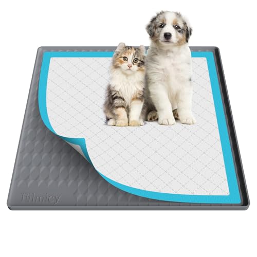 Pee Pad Holder for Dogs (24" x 24" / Dark Grey)