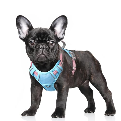 Dog Harness for Small Sized Dog No Pull Dog Vest ID Tag Pocket (Baby Blue & Baby Pink / Small)