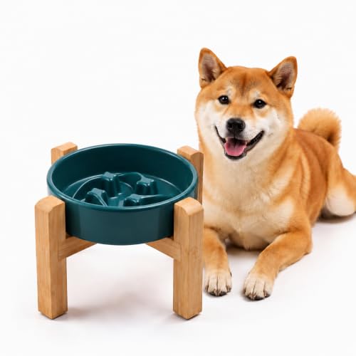 Ceramic Slow Feeder (Stars mark-Forest Green / 8.26in)