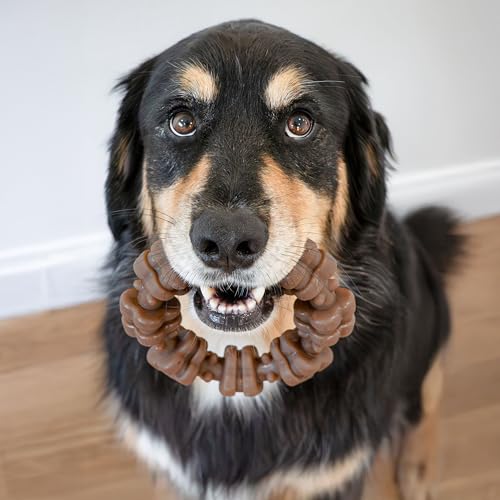Strong Chew Ring Dog Chew Toy Made with Real Beef & Chicken (Textured Ring / X-Large)