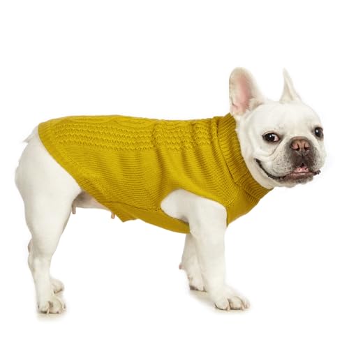 Cat Sweater Stretchy (Dark Yellow / XL)