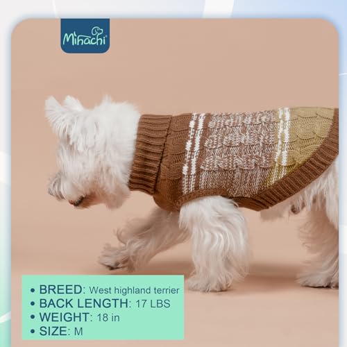 Dog Girl Boy Sweaters (Small / #1 Beige)