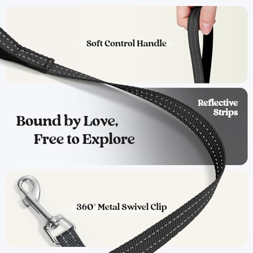 Dog Harness Medium Sized and Leash Set (Black Zigzag / L (chest: 18.2 - 20.5"))