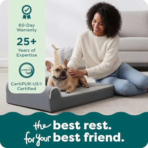 Orthopedic Dog Bed for Medium Dogs (Medium / Stone Gray)