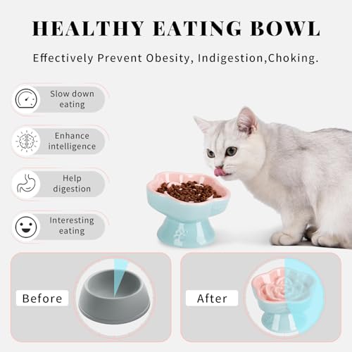 Raised Slow Feeder Cat Bowl (5.8" / Pink)