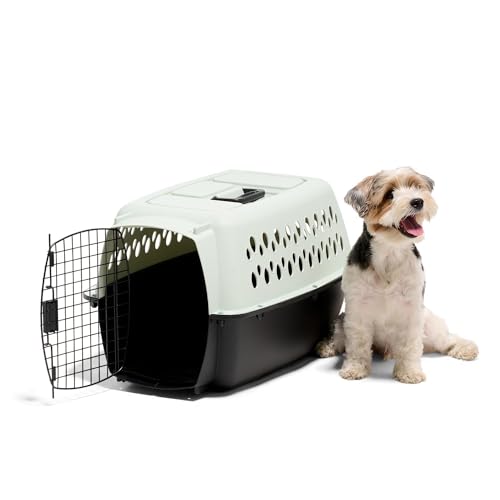 Pet Porter Fashion Dog Kennel (24.1"L x 16.7"W x 14.5"H / Aqua Blue/Black)