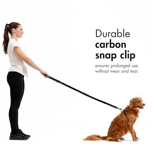 Zero Shock Bungee Dog Leash (Corduroy / 48-Inch)