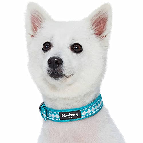 Reflective Jacquard Dog Collar with Neoprene Padding & Metal Buckle (Medium / Metal Buckle-Peacock)