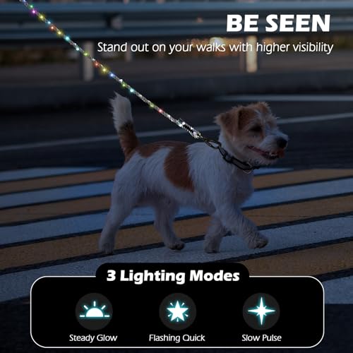 5FT Light up Dog Leash