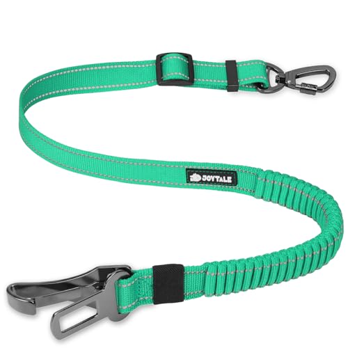 3-in-1 Bungee Dog Seat Belt for Car, Medium and Large Dogs, Teal (Teal / (21.6-31.5) inch)