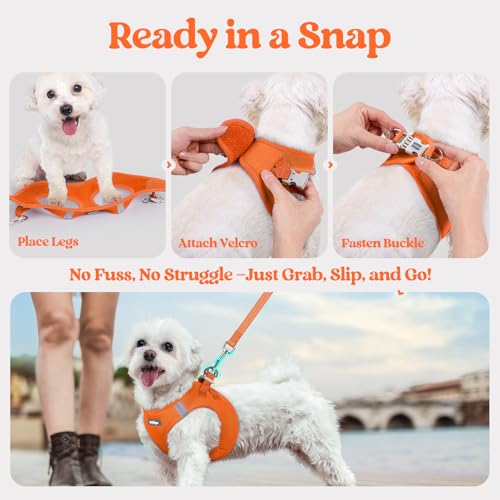 Dog Harness Medium Sized and Leash Set (Orange / Xl (chest: 20 - 21.8"))