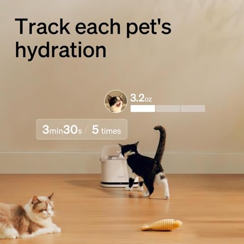 Cats Water Fountain for Multi Cats (White / RFID Fountain)
