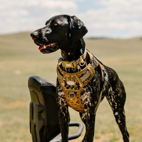 Dog Harness for Small Medium Dogs (Camo - Woodland Camo / S(Neck:14-21",Chest:20-31"),18-35 lbs)