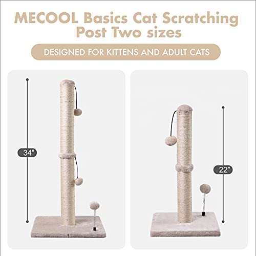 Cat Scratching Post Premium Basics Kitten Scratcher Sisal Scratch Posts with Hanging Ball 22in for Kittens or Smaller Cats (22 inches for kitten / Beige)