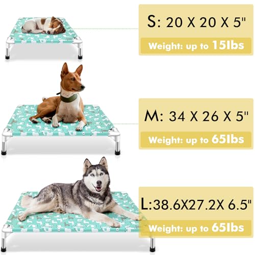 Elevated Dog Bed Pet cot (Medium)