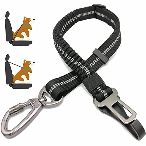 Dog Seat Belt