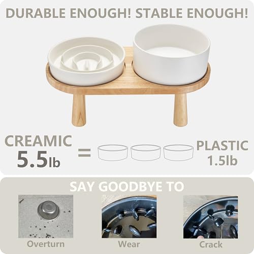 Ceramic Slow Feeder and Water Bowl Set for Small Dogs (White / 6" D)