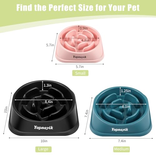 2 Pack Slow Feeder Dog Bowls for Medium Dogs & Cats (Medium / Green and Light Blue)